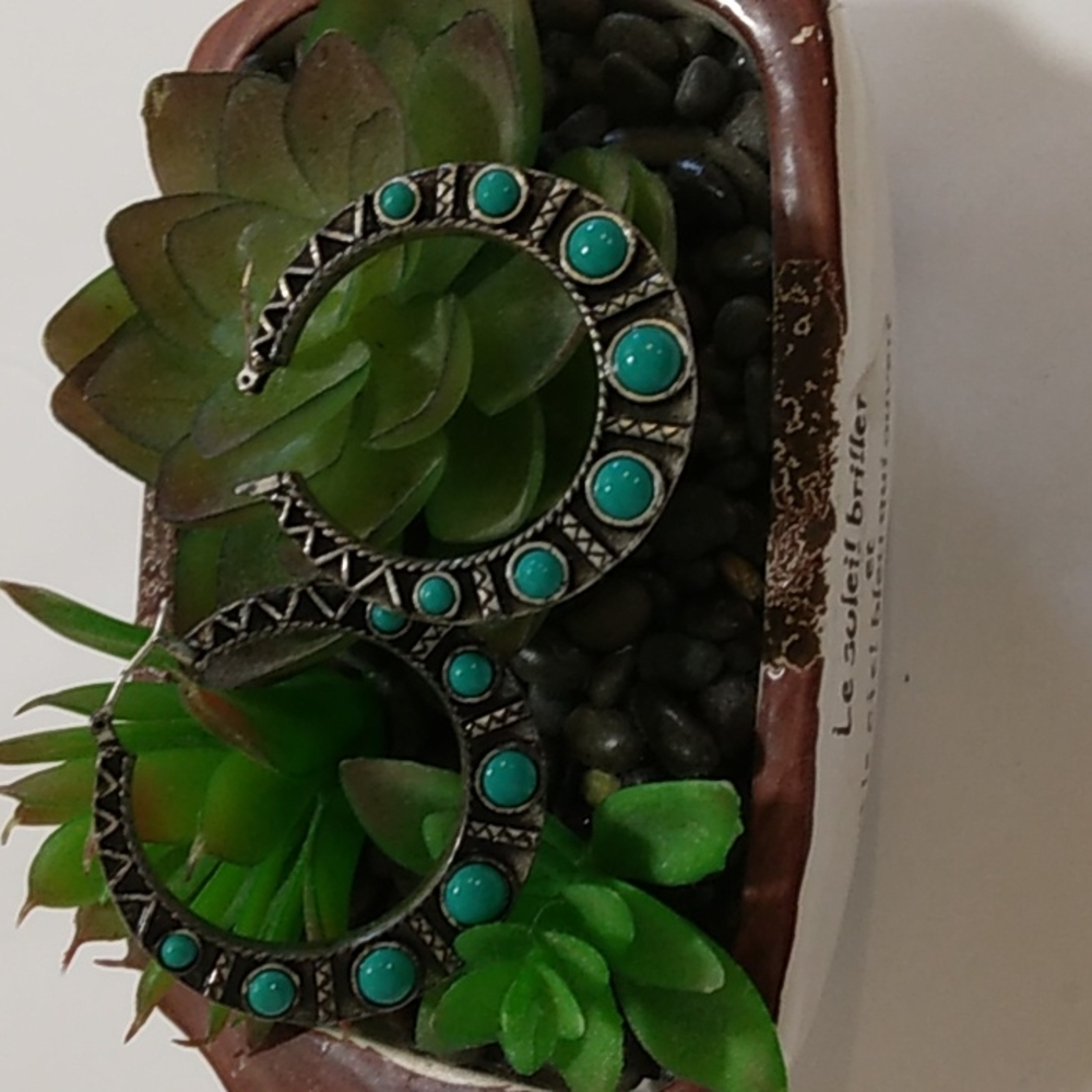 Earrings
